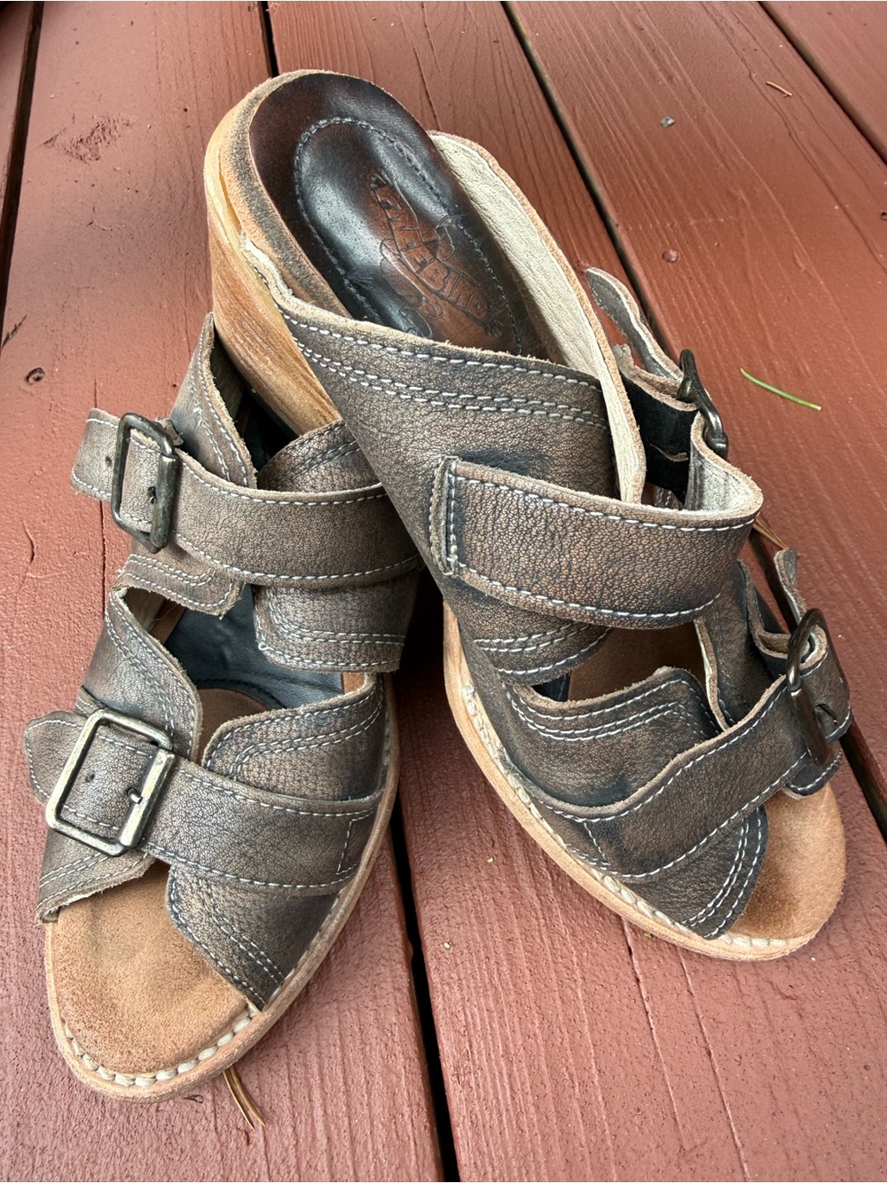 Freebird by Steven Brown Leather Buckle Clog Mules